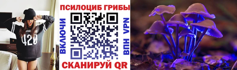 Псилоцибиновые грибы мухоморы  Советск 