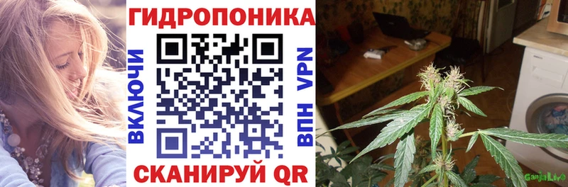 Канабис планчик  нарко площадка формула  Советск  блэк спрут зеркало 